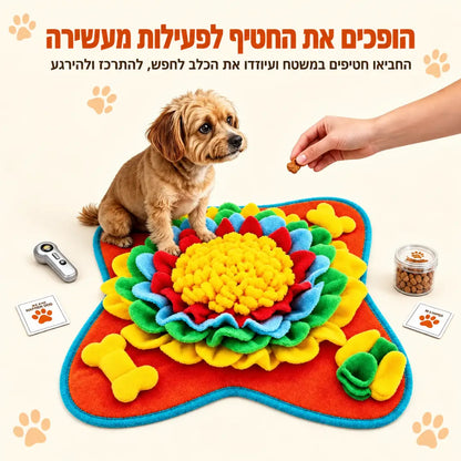 משחק הרחה והעשרה לכלבים