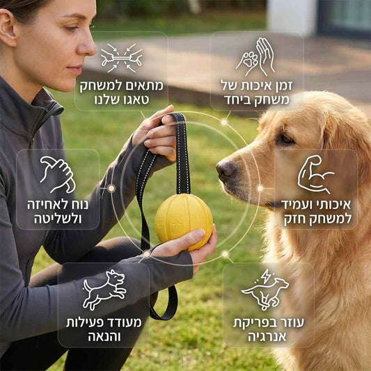 כדור אימון מקצועי