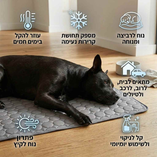 משטח קירור לפינוק אמיתי