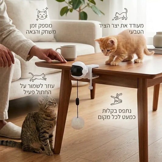 משחק צייד לחתולים