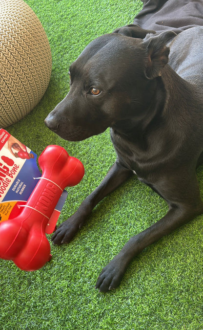 עצם האכלה איטית