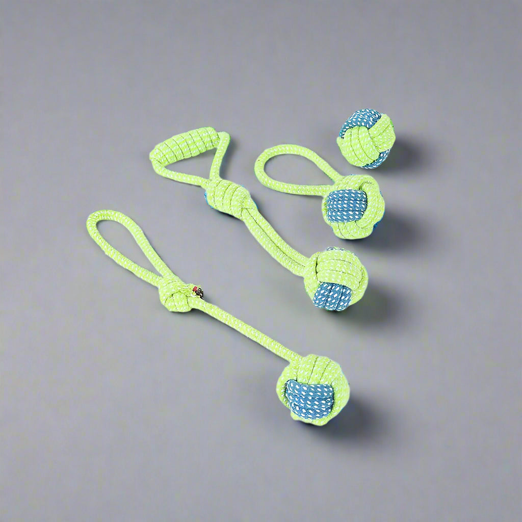 צעצועי משיכה לכלבים – למשחקים של כוח וכיף ביחד