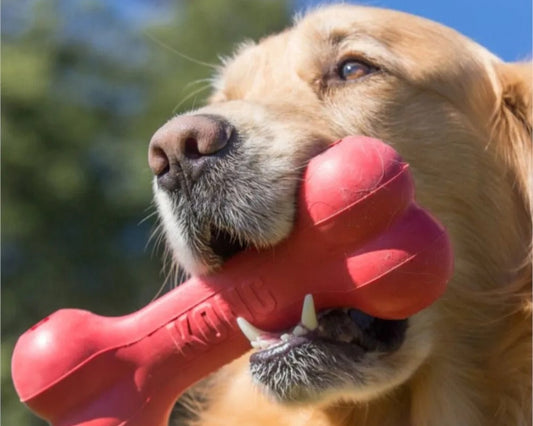 עצם האכלה איטית קונג