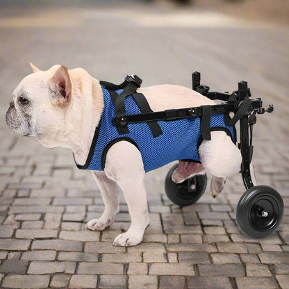 כיסא גלגלים שיקומי לחיות מחמד