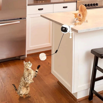 משחק צייד לחתולים