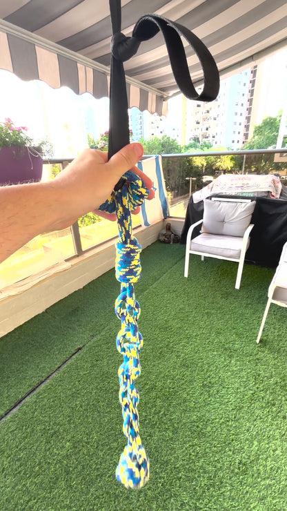 טאגו - משחק צייד לכלב