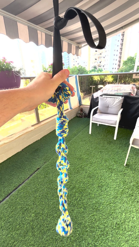 טאגו - משחק צייד לכלב